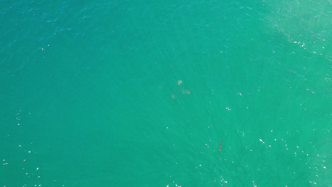 Overhead view of greenish blue sea water in Los Cabos, Mexico, with faint surface ripples and no visible people.
