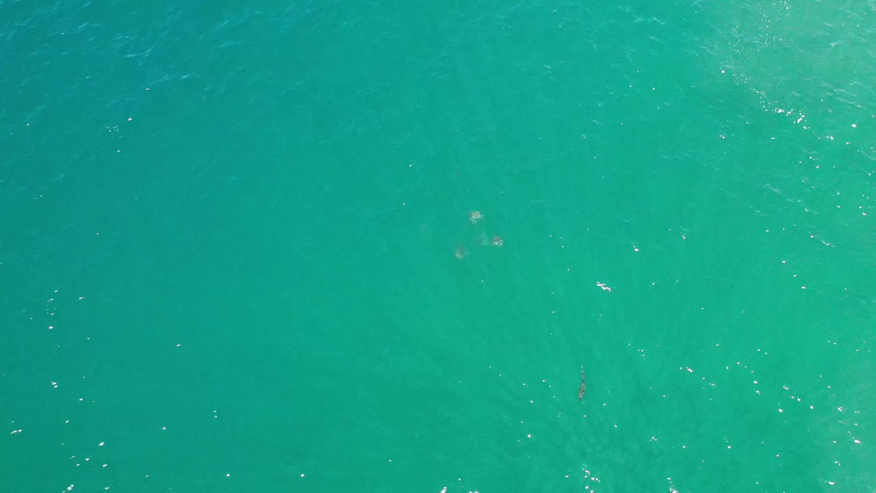 Turquoise sea surface in Los Cabos, Mexico, seen from above with scattered white light flecks and no visible people.