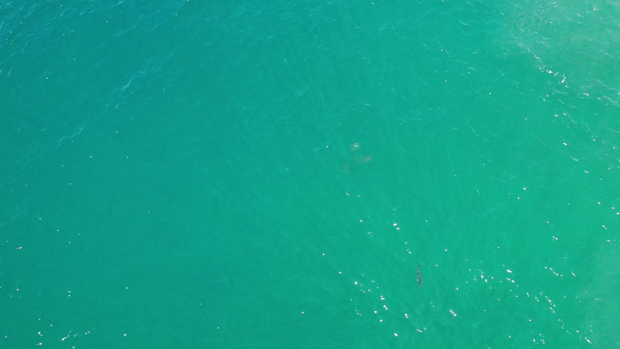 Green blue ocean water with faint darker shapes under the surface