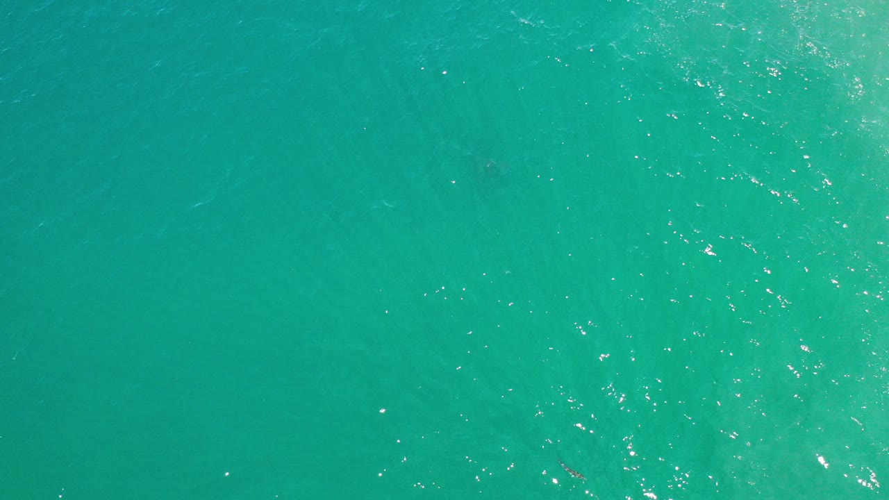 Top-down turquoise sea water with small sun reflections.