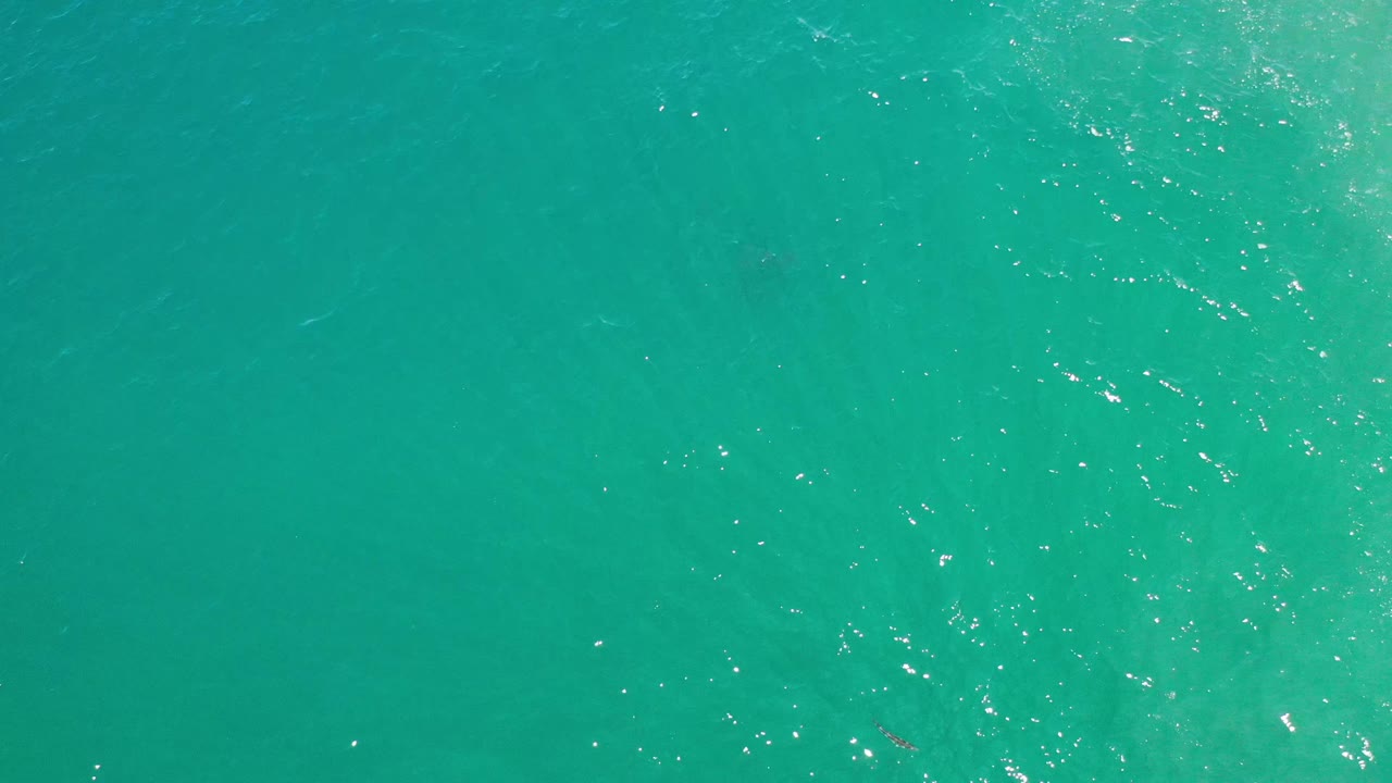 Overhead Los Cabos sea water fills the frame, with brighter ripple highlights near the center and no visible people.