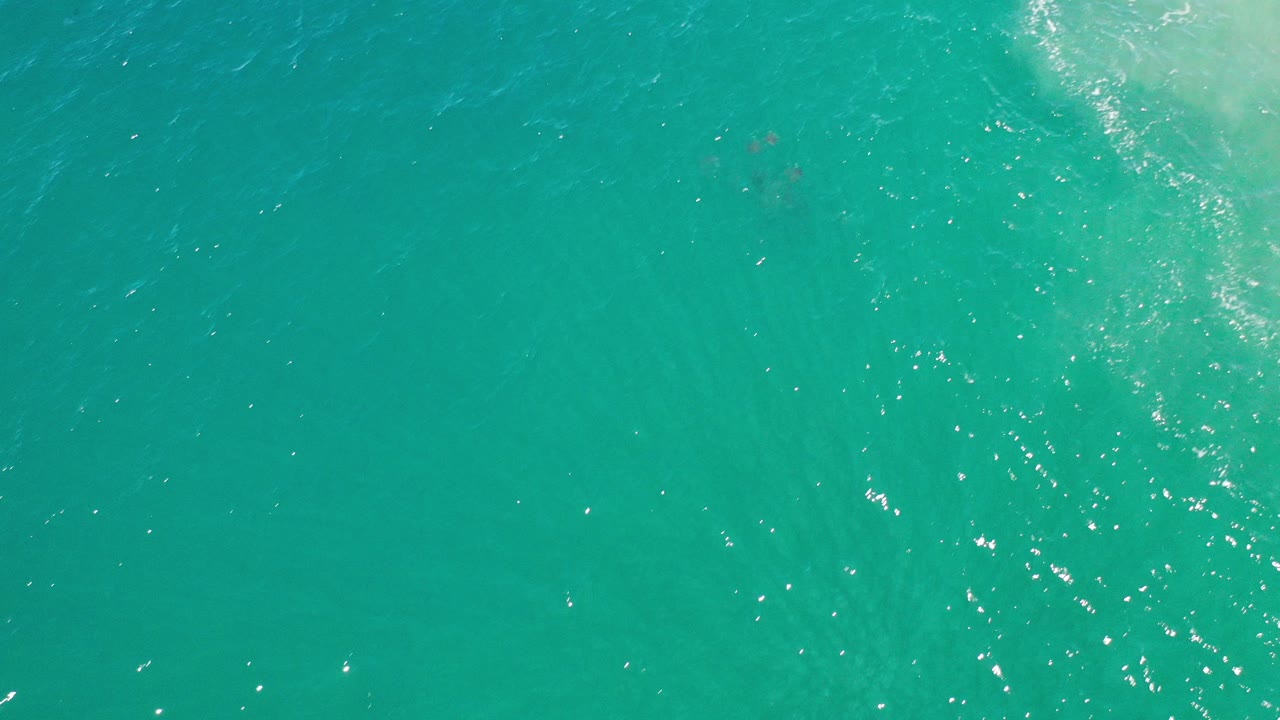 Turquoise ocean surface with sunlight glints and faint fish below.