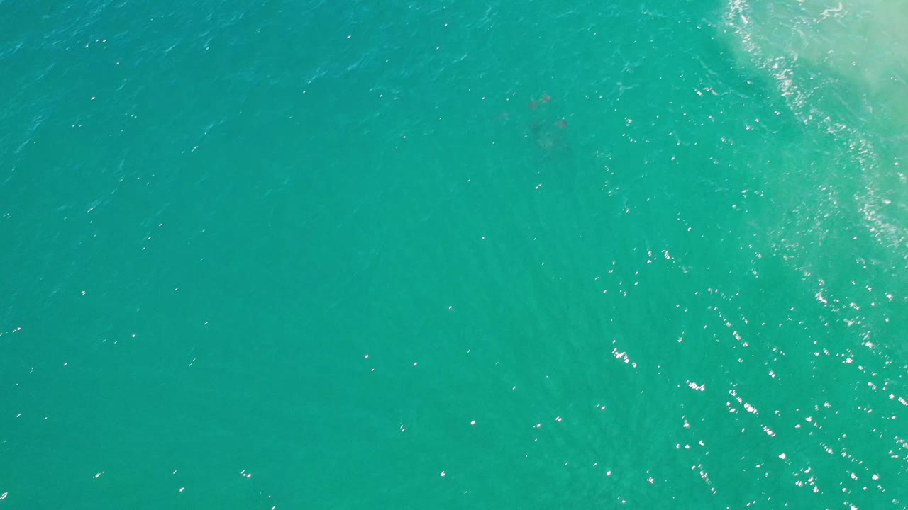 Overhead Los Cabos ocean frame with mostly open turquoise water, fine ripples, and small points of sunlight, no visible people.