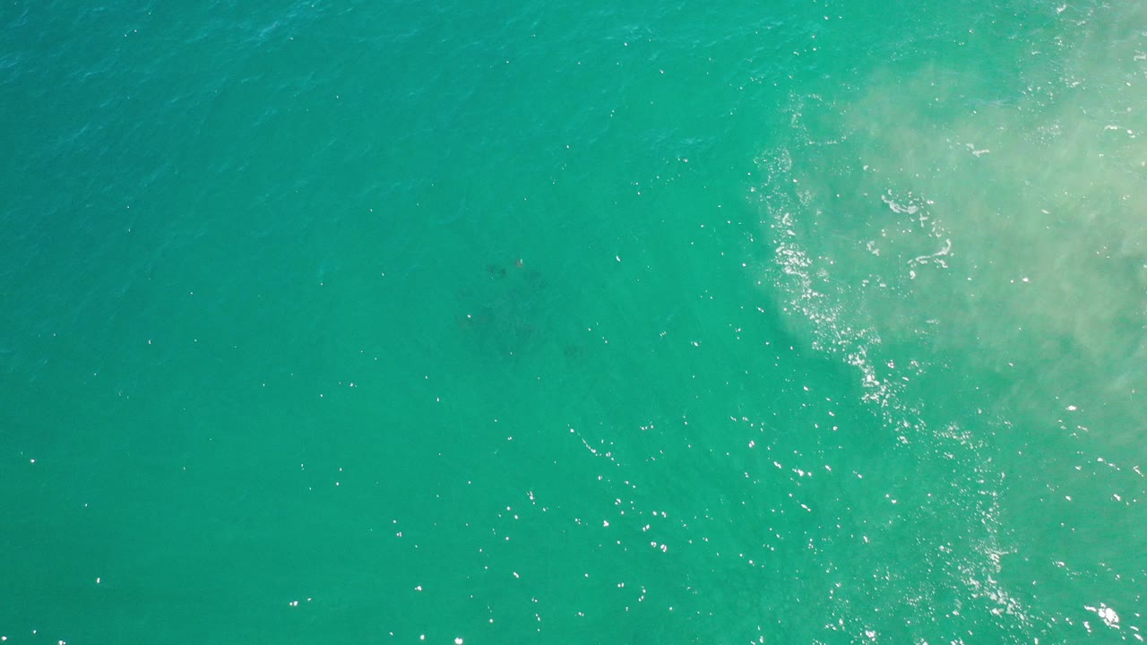 Overhead view of green Los Cabos seawater with sun flecks, pale surf wash at the right edge, a faint dark stingray shape under the surface, and no visible people.