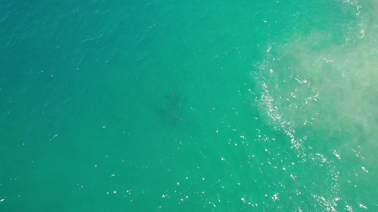 Aerial view of clear green water with pale wash and a dim stingray silhouette.