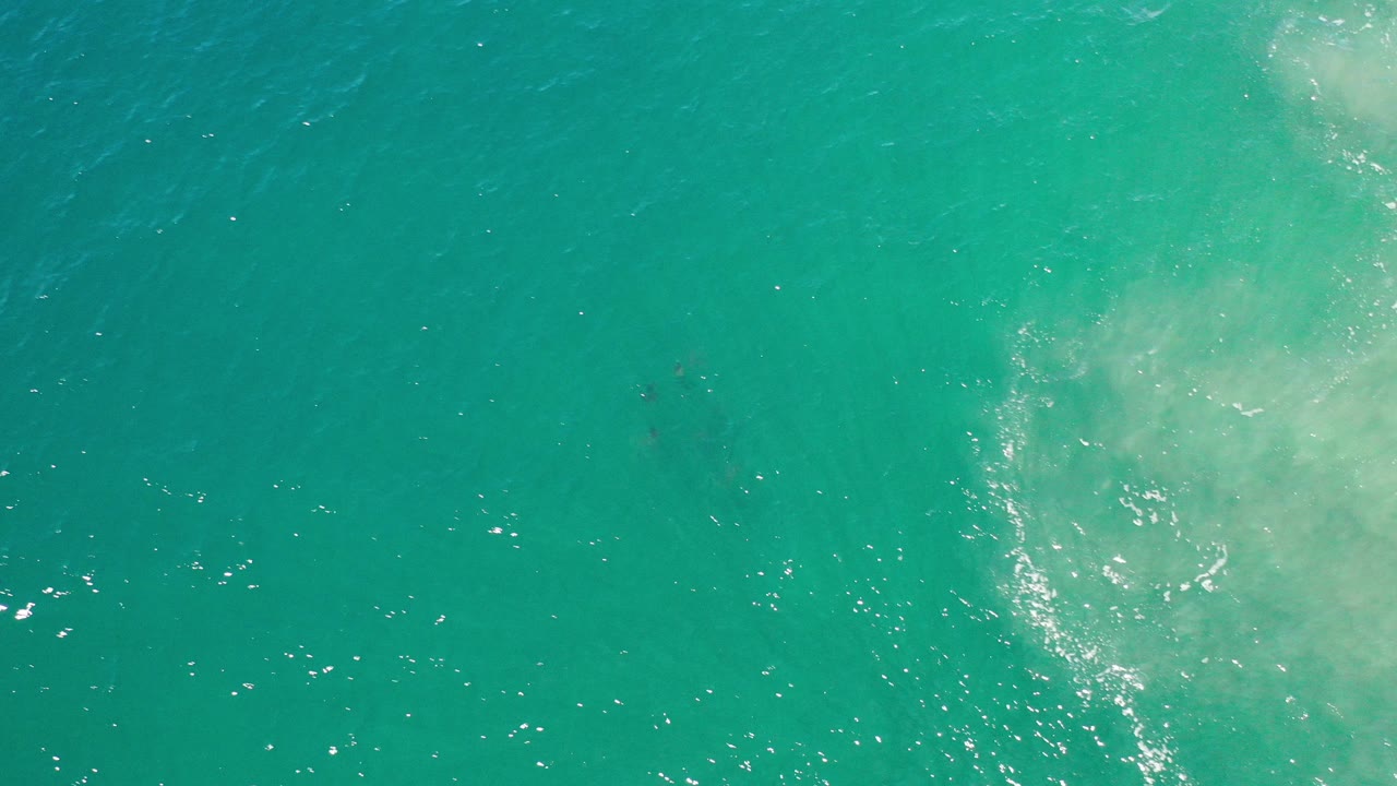 Top-down turquoise ocean with pale surf wash at the right edge.