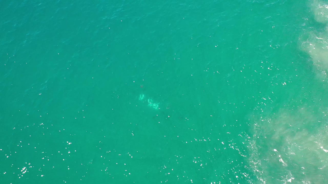Overhead Los Cabos water view with a larger pale disturbance near the lower right and scattered bright reflections across the blue-green surface.