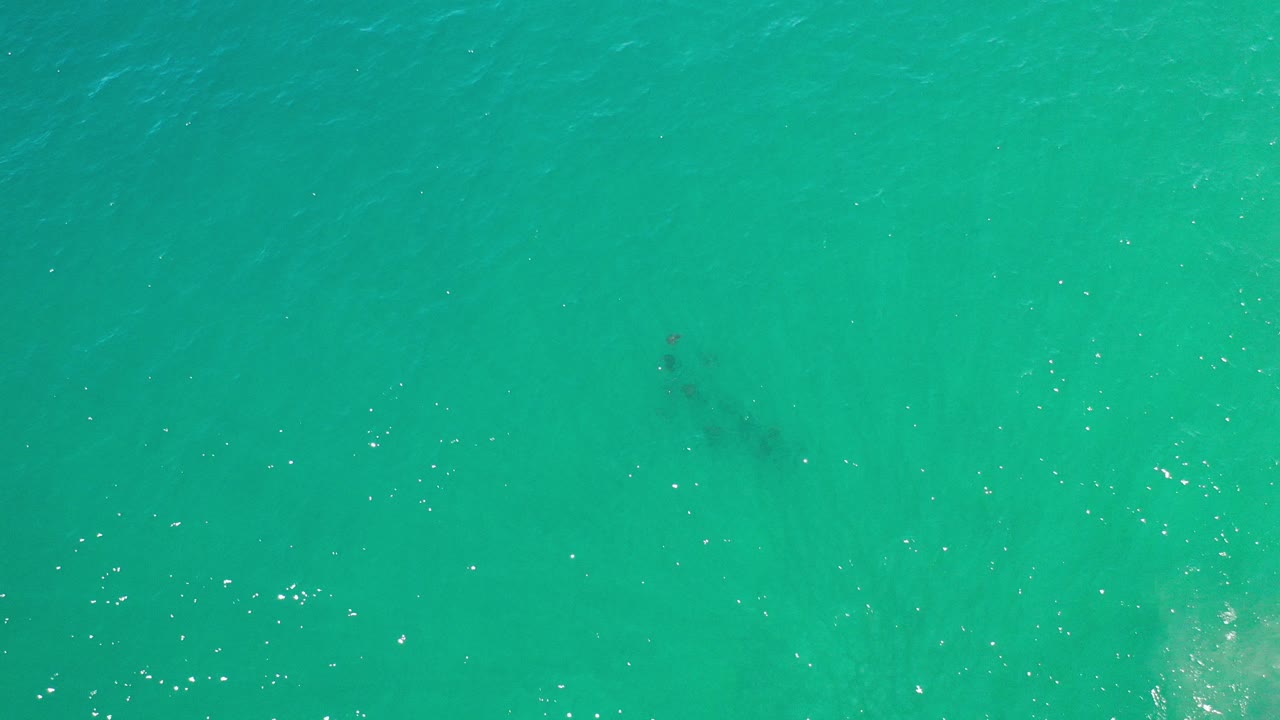Turquoise ocean surface with faint dark underwater shadows