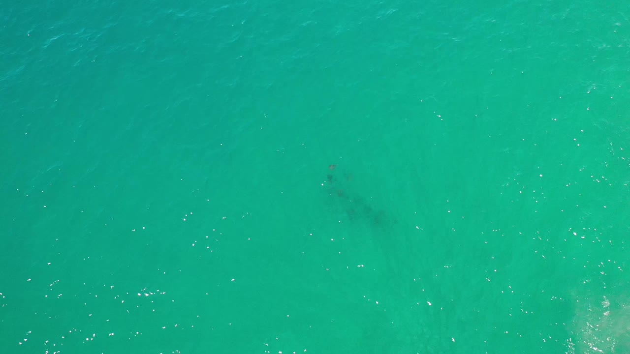 Green-blue ocean water fills the frame, with small dark underwater patches near the center-left and no visible people.
