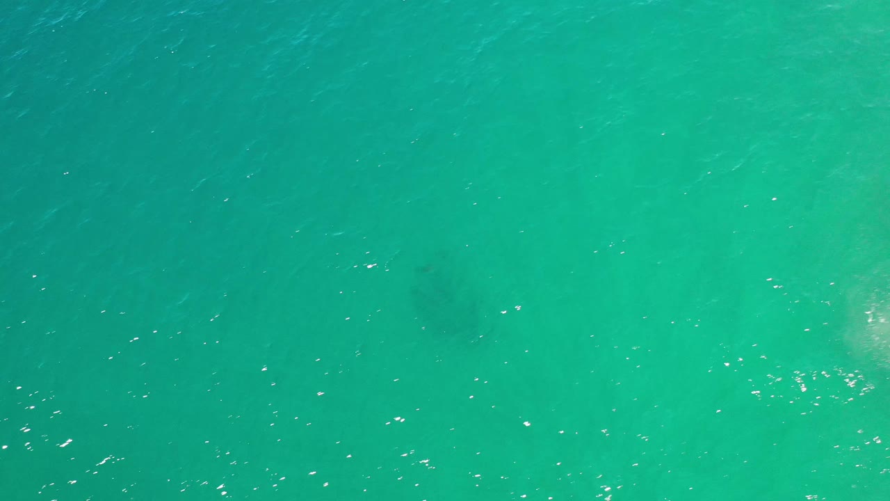 Overhead Los Cabos ocean frame showing green water, fine wave marks, scattered white highlights, and no visible people.
