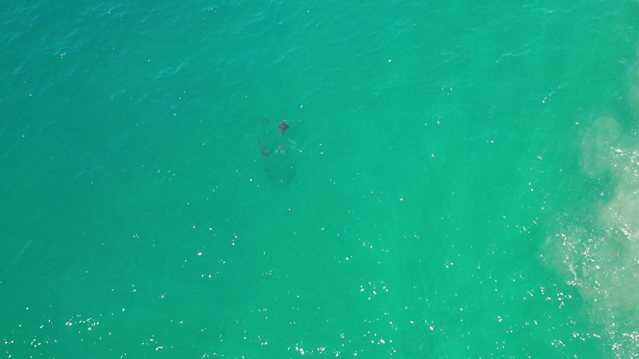 Top-down view of teal water in Los Cabos with faint dark fish shapes near the upper left, scattered sun glints, and no visible people.