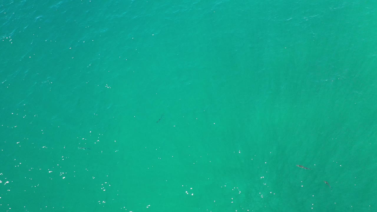 Turquoise-green ocean with faint dolphin marks under the water