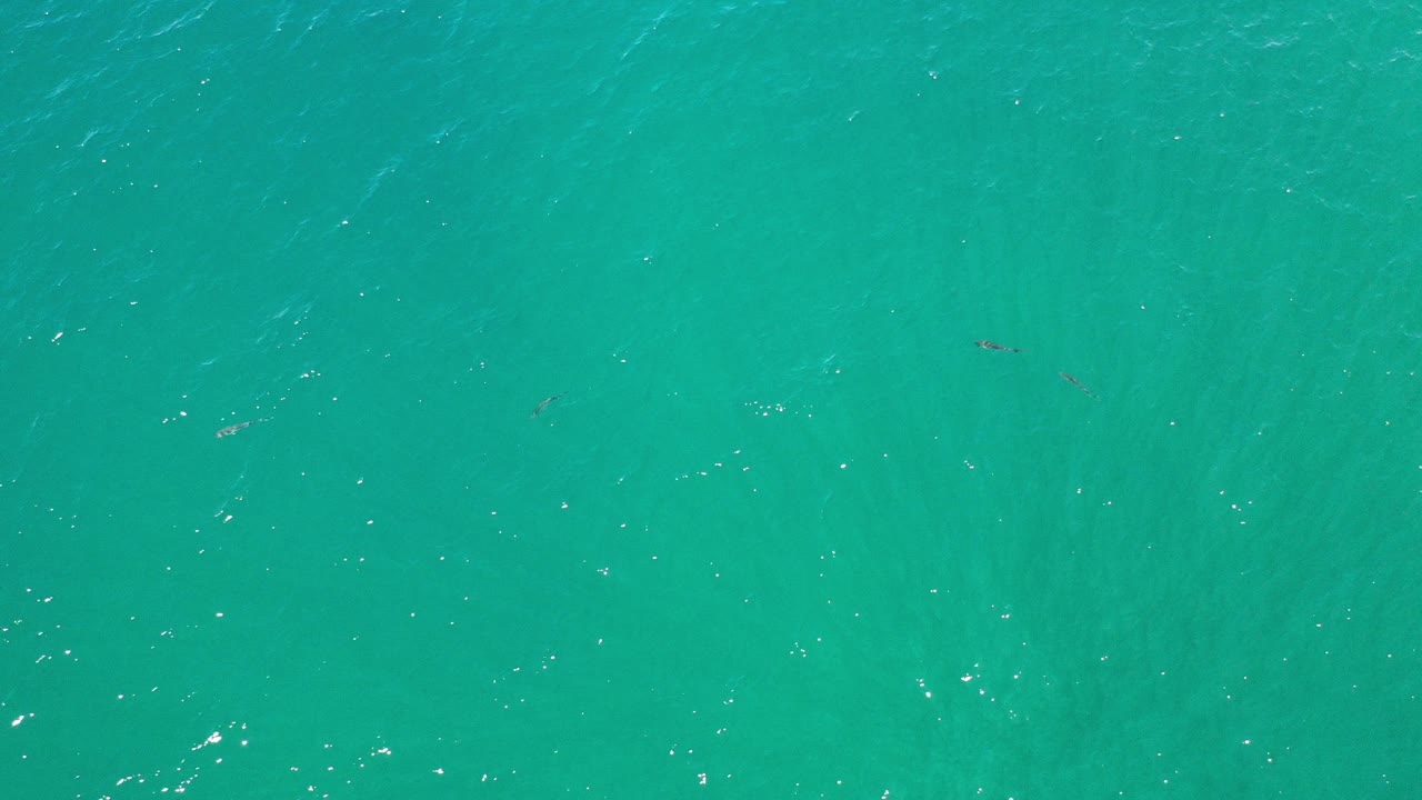 Overhead view of turquoise ocean water in Los Cabos, Mexico, with faint underwater texture, small dark fish shapes near the upper area, and no visible people.