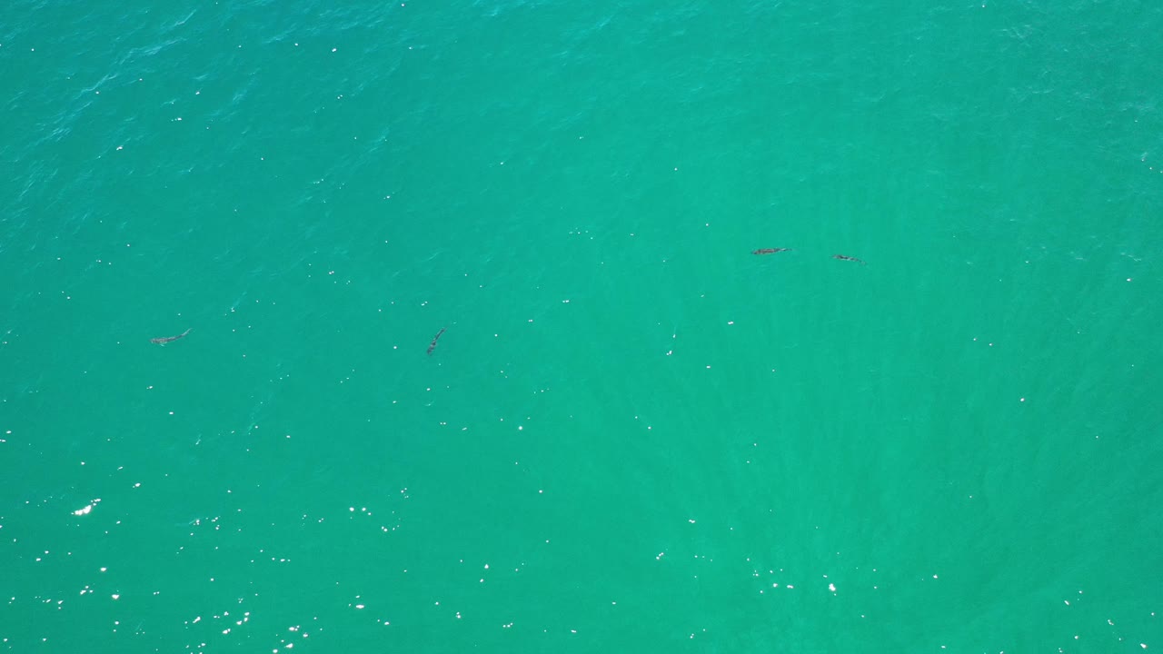 Turquoise water with faint fish shapes near the lower area.