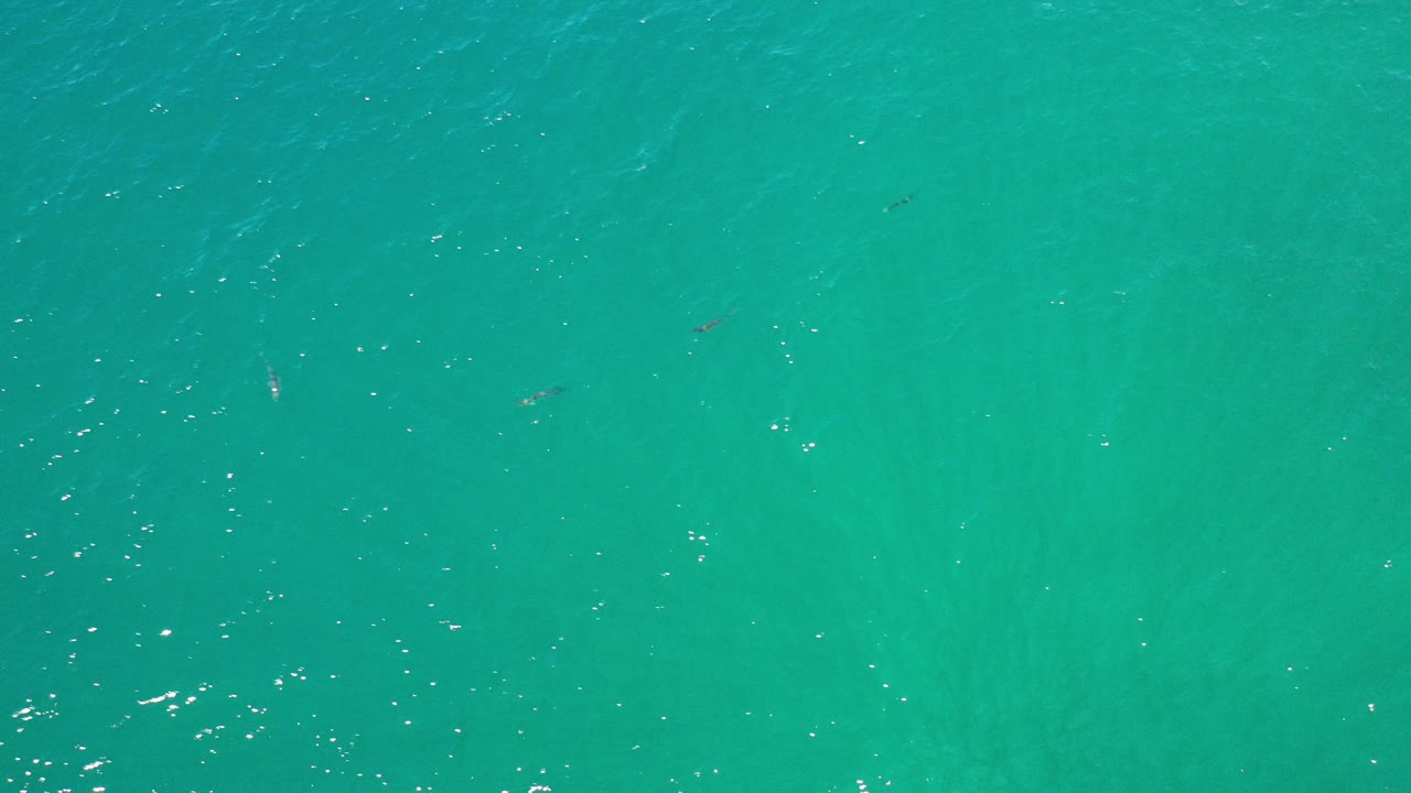 Top-down view of turquoise green ocean water in Los Cabos, Mexico, with faint darker seaweed patterns under the surface and no visible people.