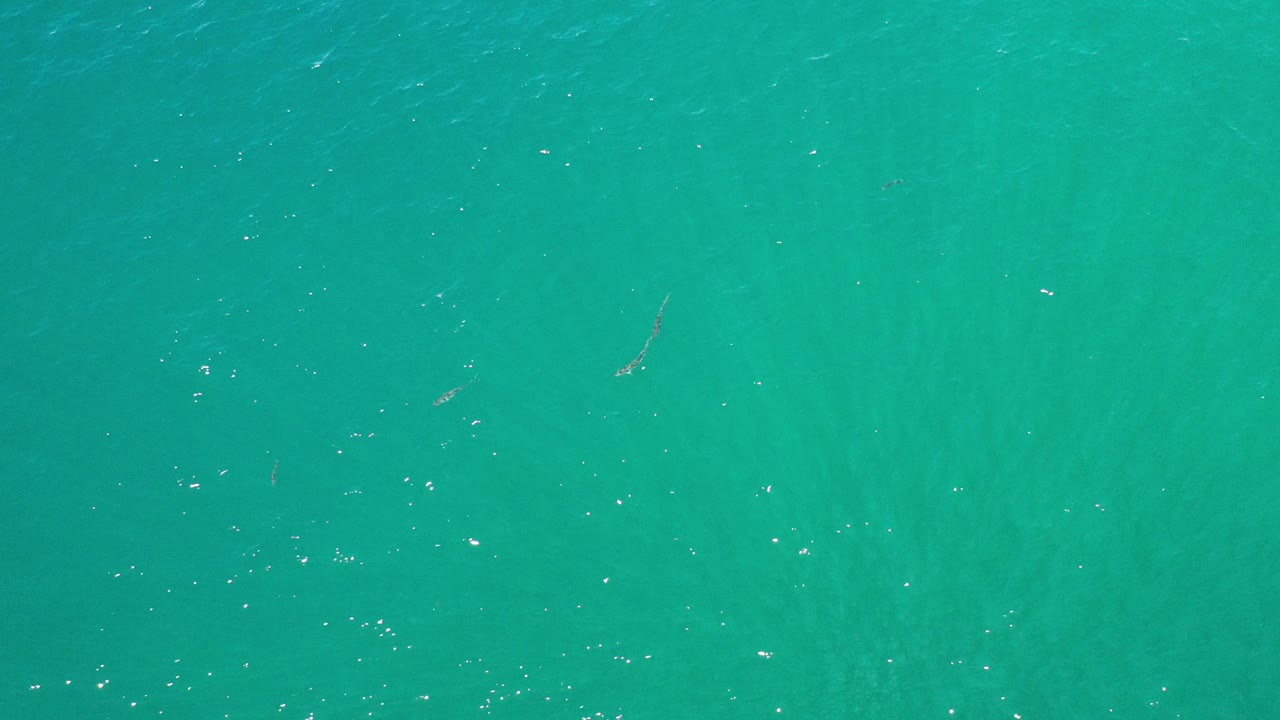 Top-down view of turquoise-green sea water in Los Cabos, Mexico, with scattered white highlights and no visible people.