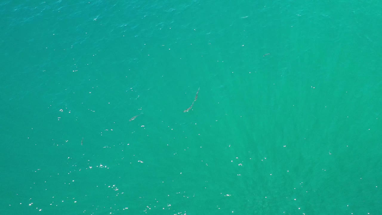 Overhead green sea surface in Los Cabos, Mexico, with subtle darker marks beneath the water and no visible people.