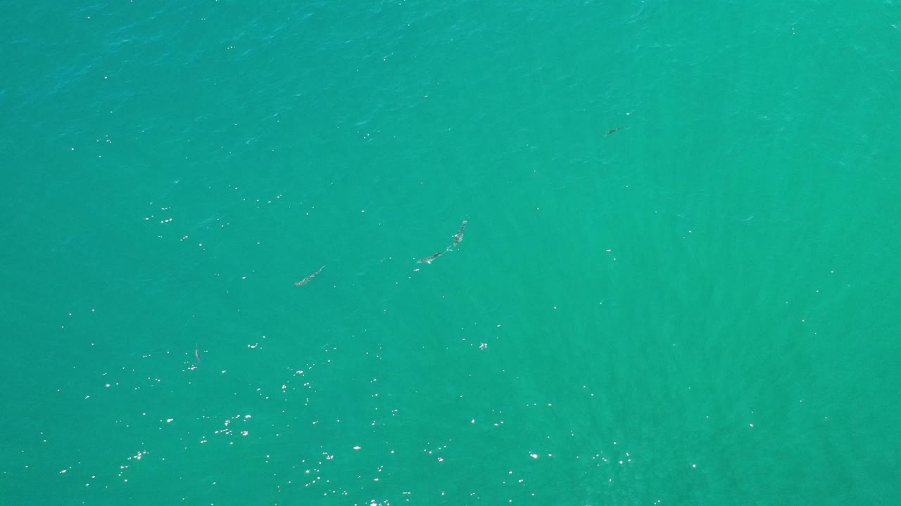 Calm teal water with scattered surface sparkle