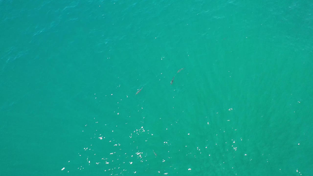Overhead emerald water in Los Cabos, Mexico, with faint wave texture, small bright speckles, and no visible people.