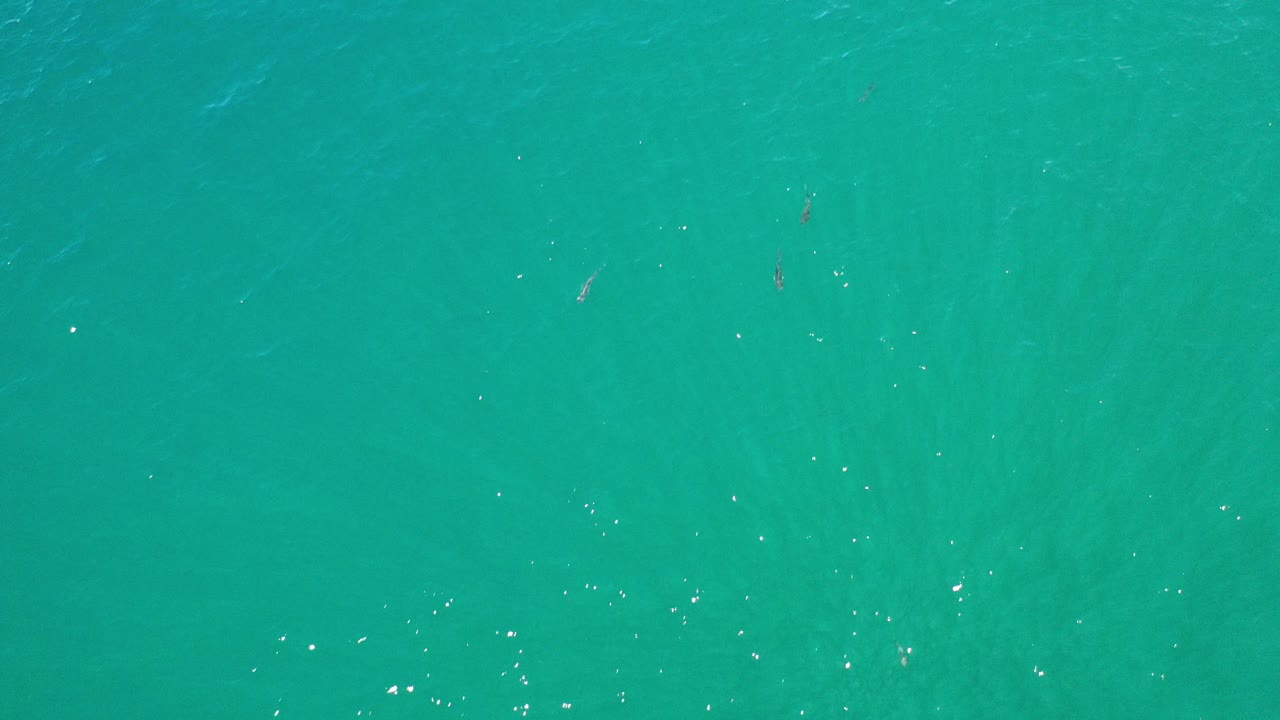 Overhead view of turquoise sea water in Los Cabos, Mexico, with faint ripples and no visible people at the opening frame.