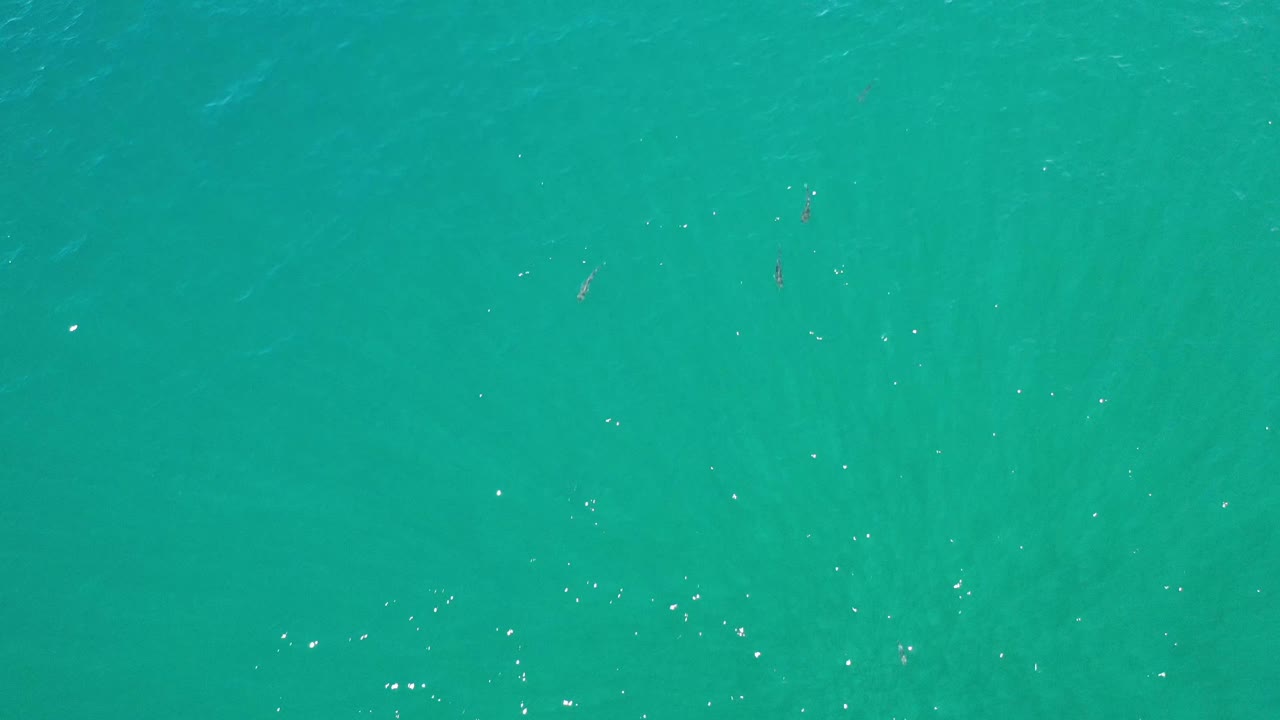 Aerial frame of blue-green sea water in Los Cabos, Mexico, showing small white sun reflections across an otherwise empty surface with no visible people.