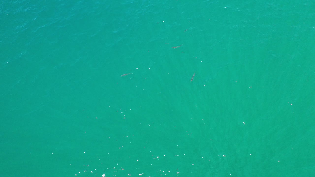 Overhead view of blue-green shallow water in Los Cabos, Mexico, with faint underwater streaks, scattered bright specks, and no visible people.