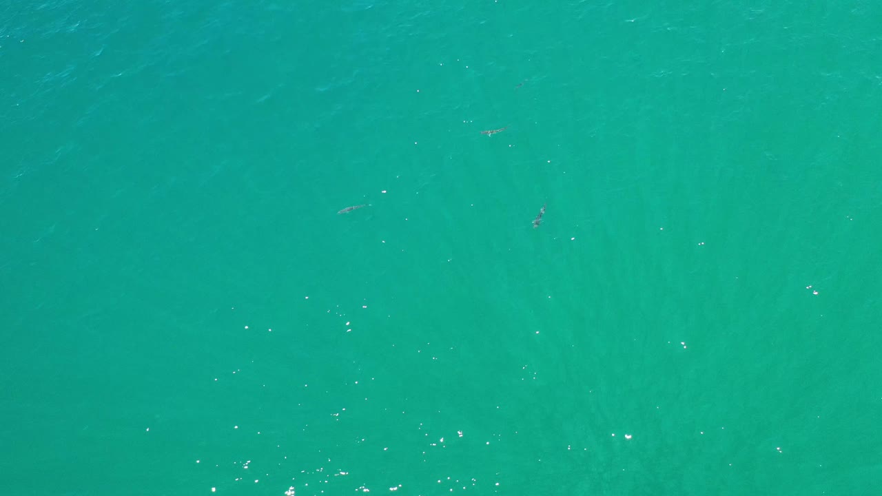 Turquoise shallow water in Los Cabos, Mexico, fills the frame with subtle ripples, pale vertical color bands, and no visible people.