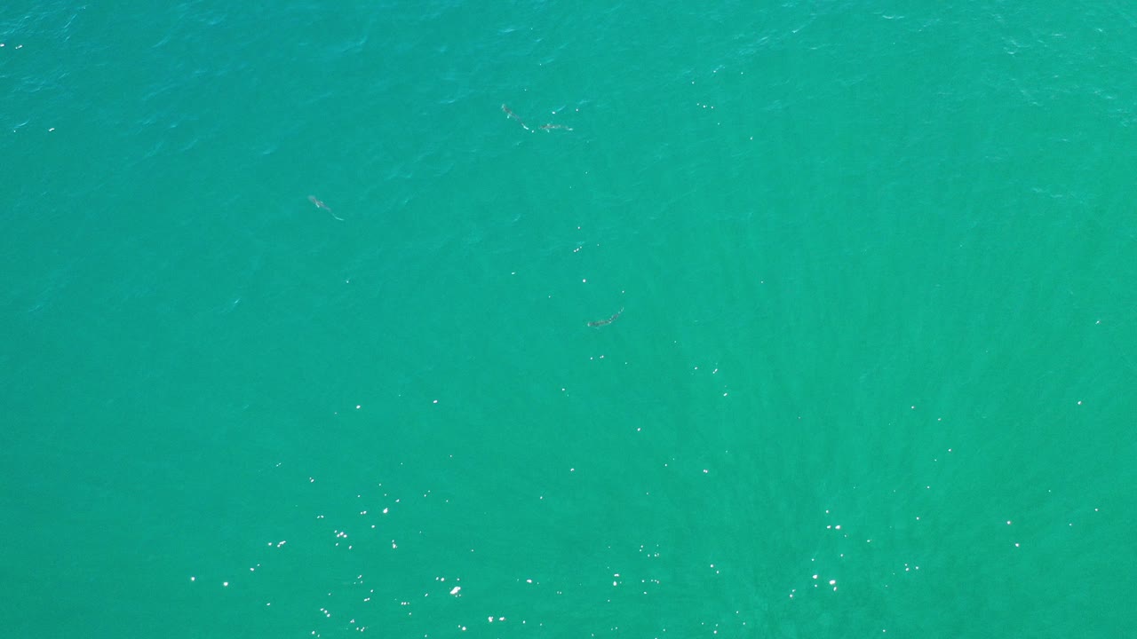 Straight-down view of green-turquoise ocean water in Los Cabos, Mexico, with scattered surface highlights and no visible people.