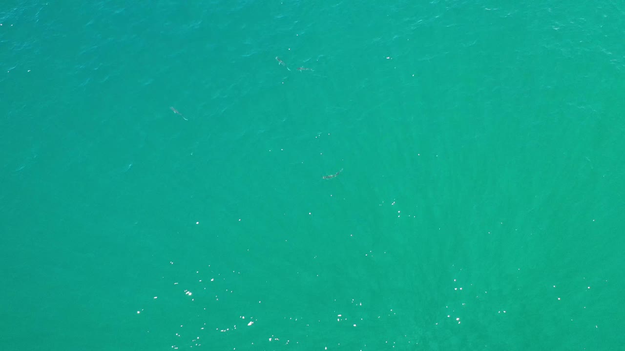 Overhead Los Cabos ocean frame filled by turquoise-green water, subtle ripples, and small bright specks, with no visible people.