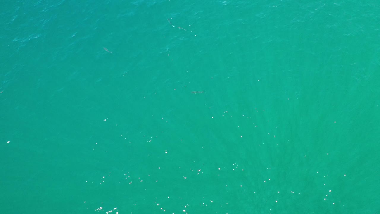 Green sea surface with sparse highlights