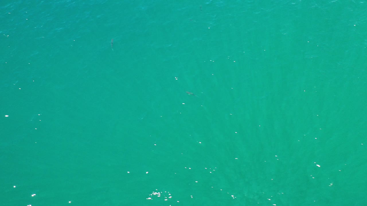 Turquoise water fills the opening frame of the Los Cabos clip, with faint underwater streaks, scattered white highlights, and no visible people.