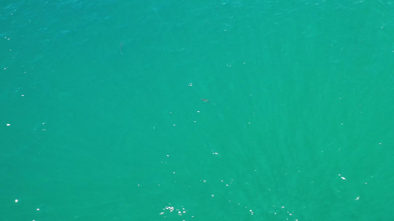 Blue-green Los Cabos water continues across the frame, with subtle darker bands under the surface, small white glints, and no visible people.