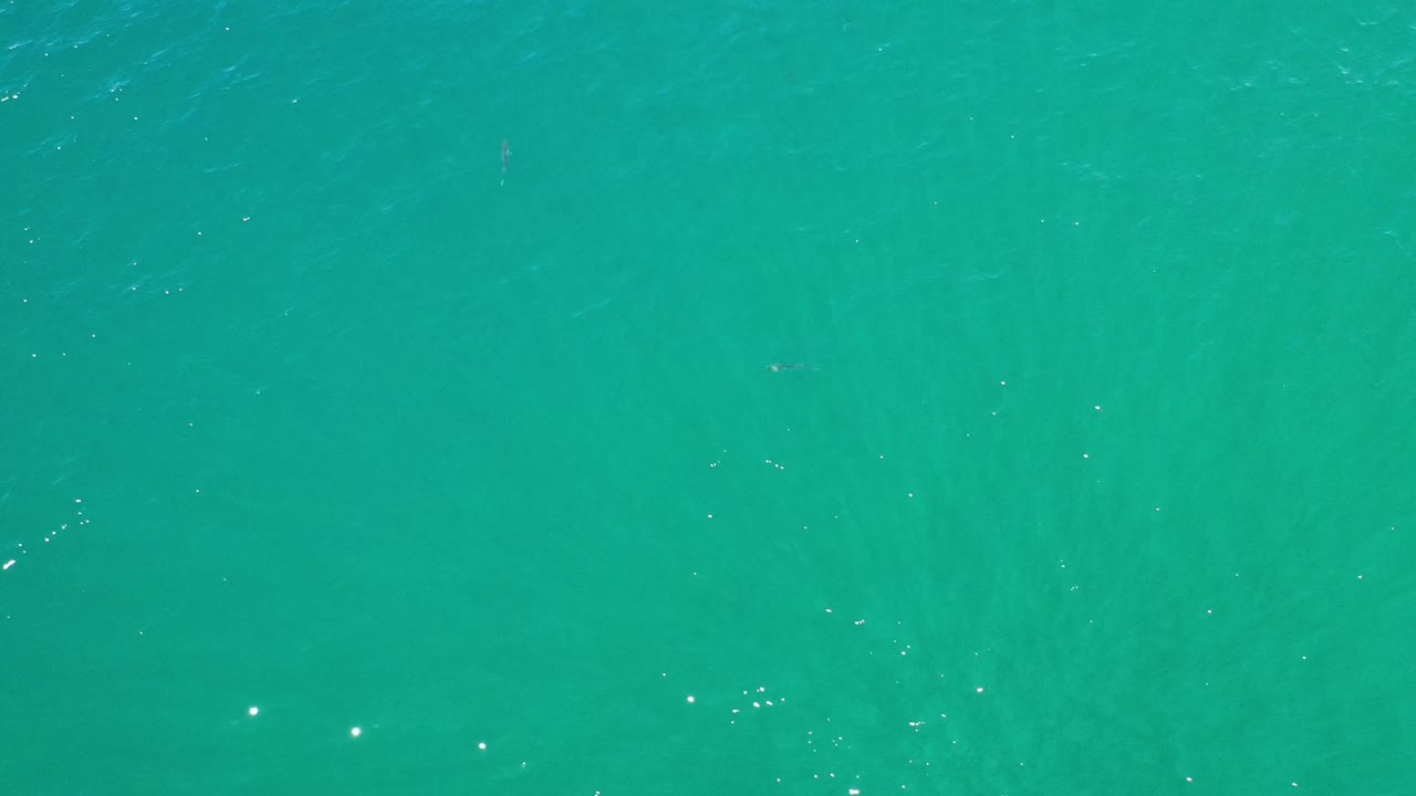Overhead turquoise water with scattered sparkle and soft ripples.