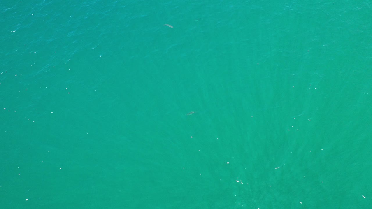 Overhead blue green ocean water with small sun glints.