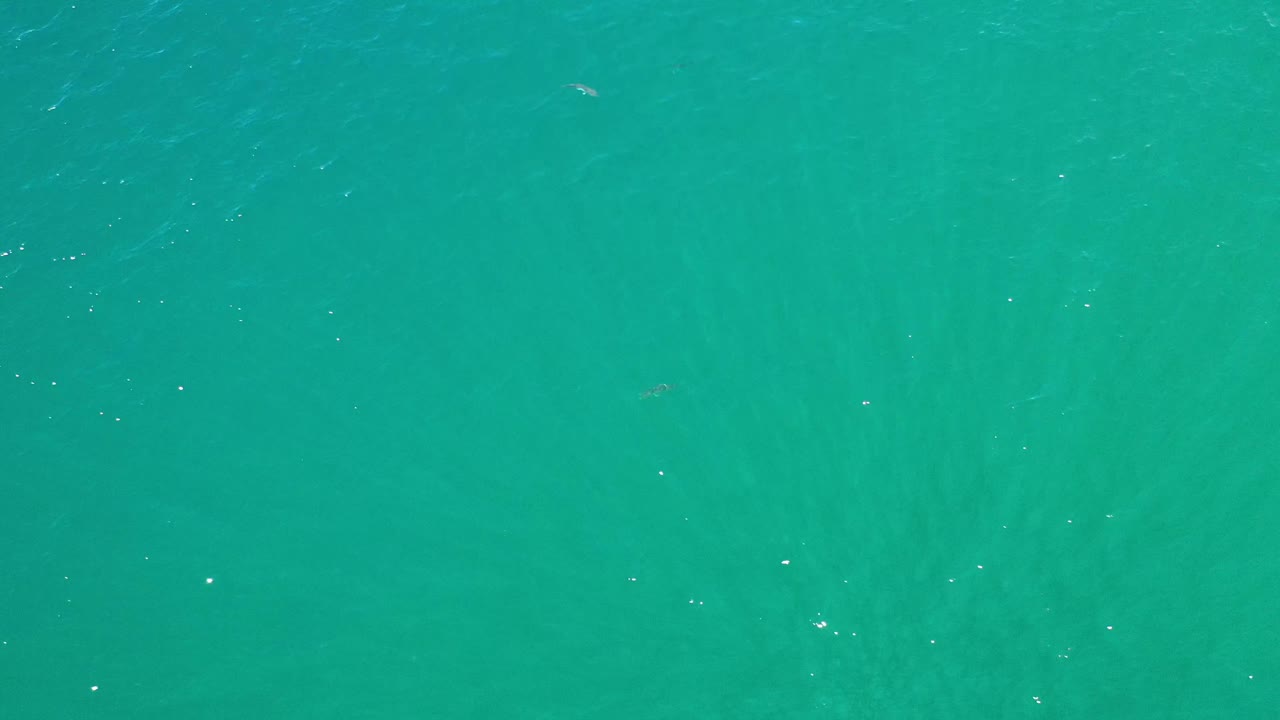 Aerial-looking frame of aqua ocean surface in Los Cabos, Mexico, with light streaks running through the water and no visible people.