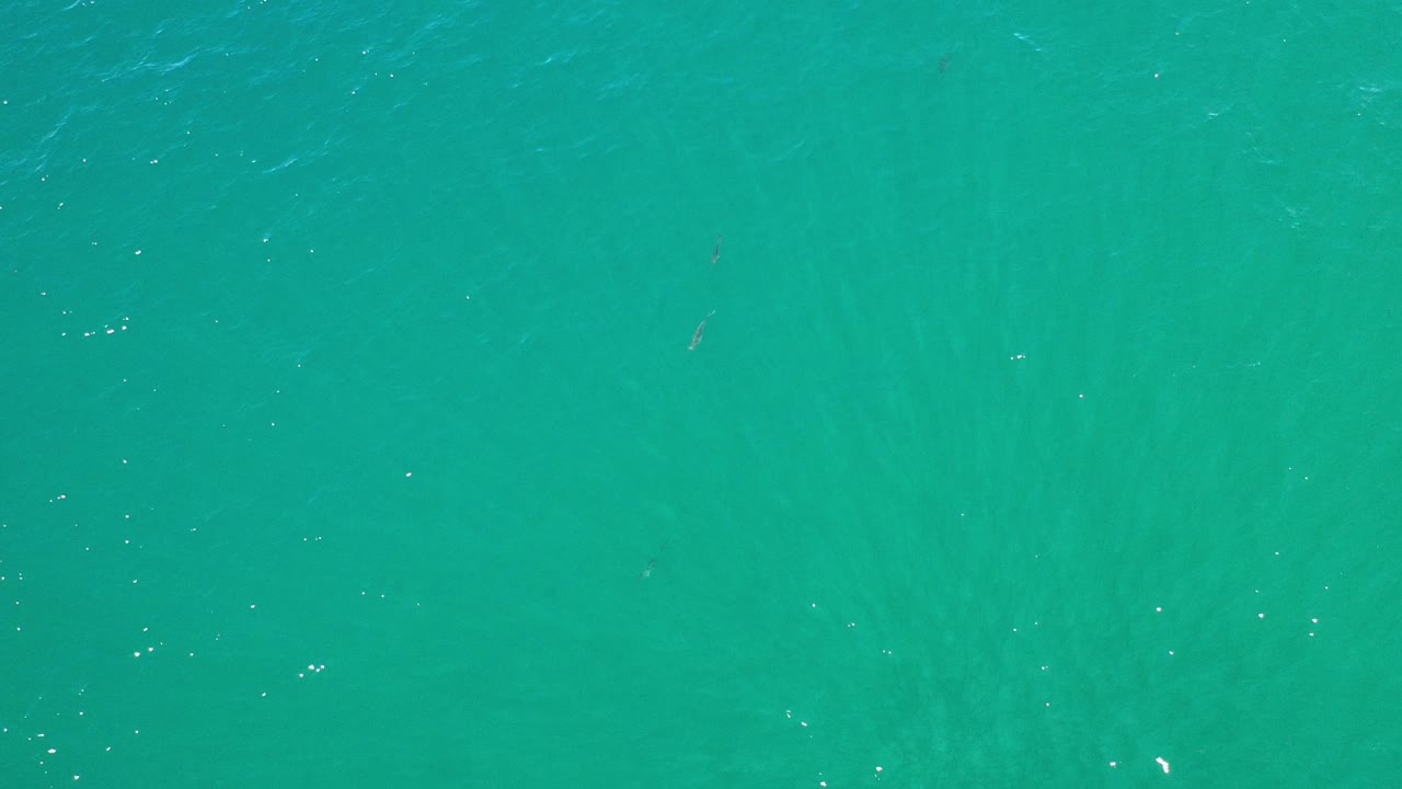 Teal-green canal water fills the frame in Los Cabos, Mexico, with faint ripples, scattered bright flecks, and no visible people.