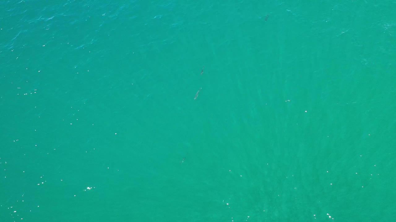 A nearly full-frame view of turquoise water in Los Cabos, Mexico, shows soft current streaks, small white glints, and no visible people.