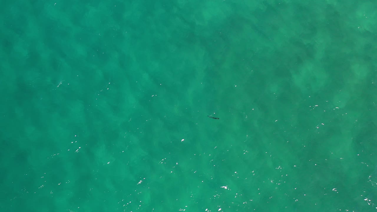 Overhead view of turquoise ocean water in Los Cabos, Mexico, with subtle ripples, pale underwater texture, scattered light reflections, and no visible people.