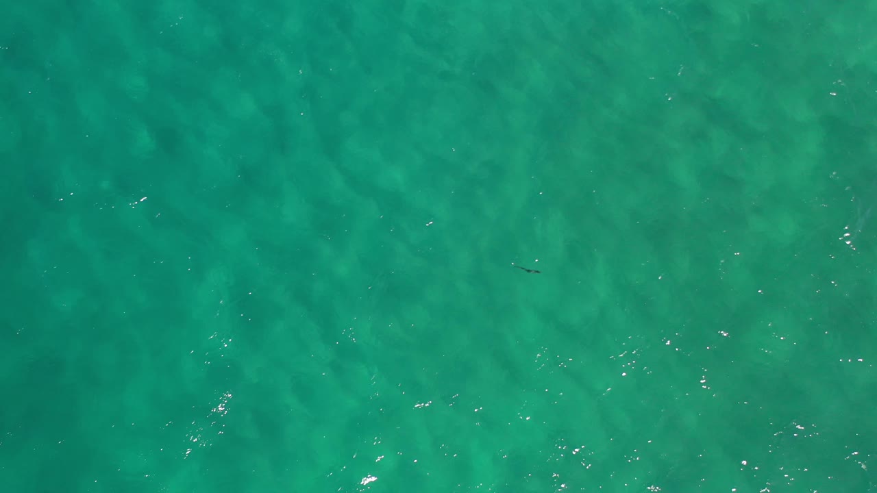 Overhead turquoise water with darker patches below the surface.