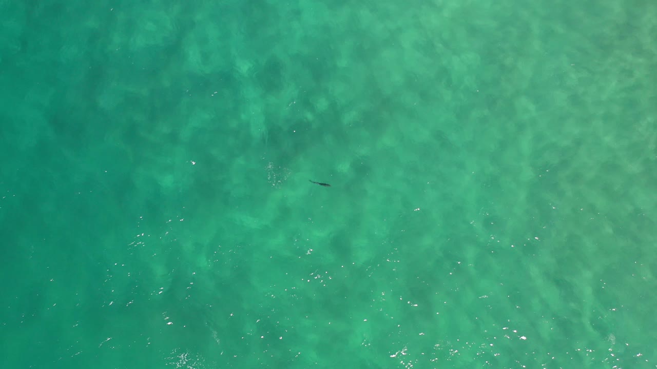 Overhead view of turquoise sea water in Los Cabos, Mexico, with subtle wave patterns, darker underwater patches, small surface glints, and no visible people.