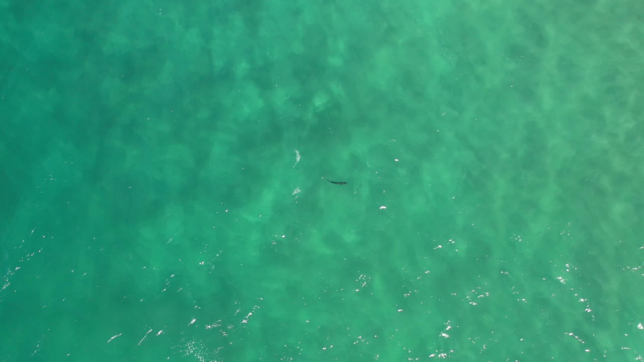 Bright turquoise water with faint wave lines and scattered highlights.
