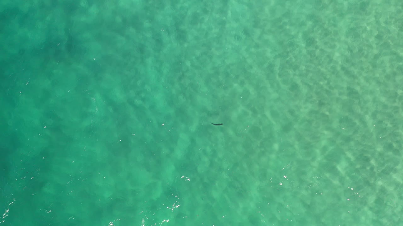 Overhead view of green turquoise water in Los Cabos, Mexico, with faint surface ripples, scattered light glints, and no visible people.