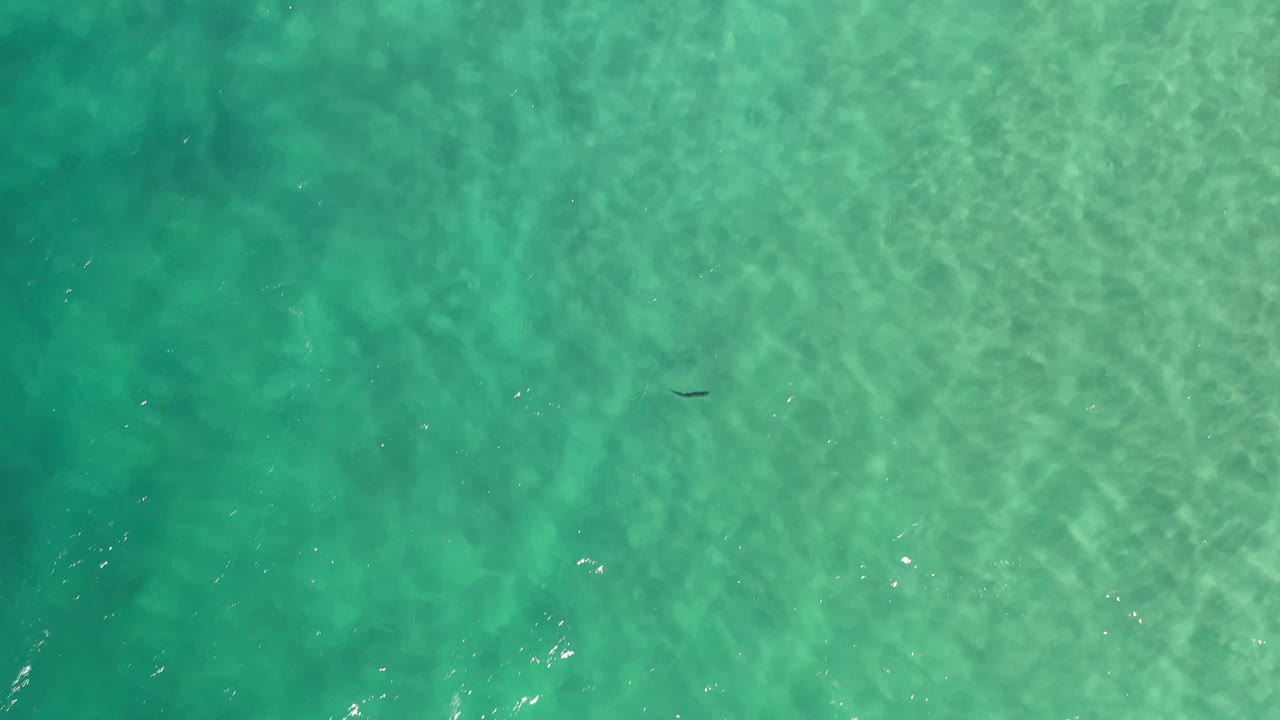 Top-down Los Cabos water frame showing pale ripple bands across turquoise-green sea and a small dark shape near the upper center, with no visible people.