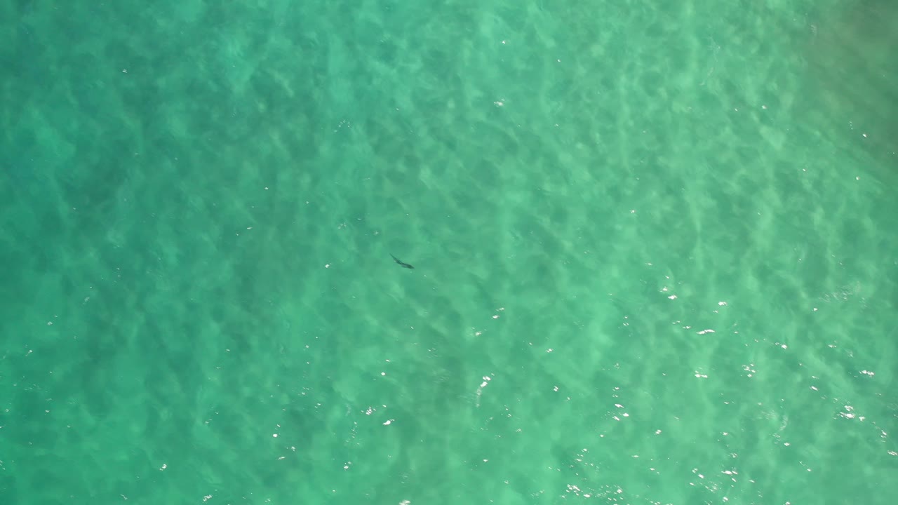 Sunlit shallow ocean water with faint fish shape below the surface