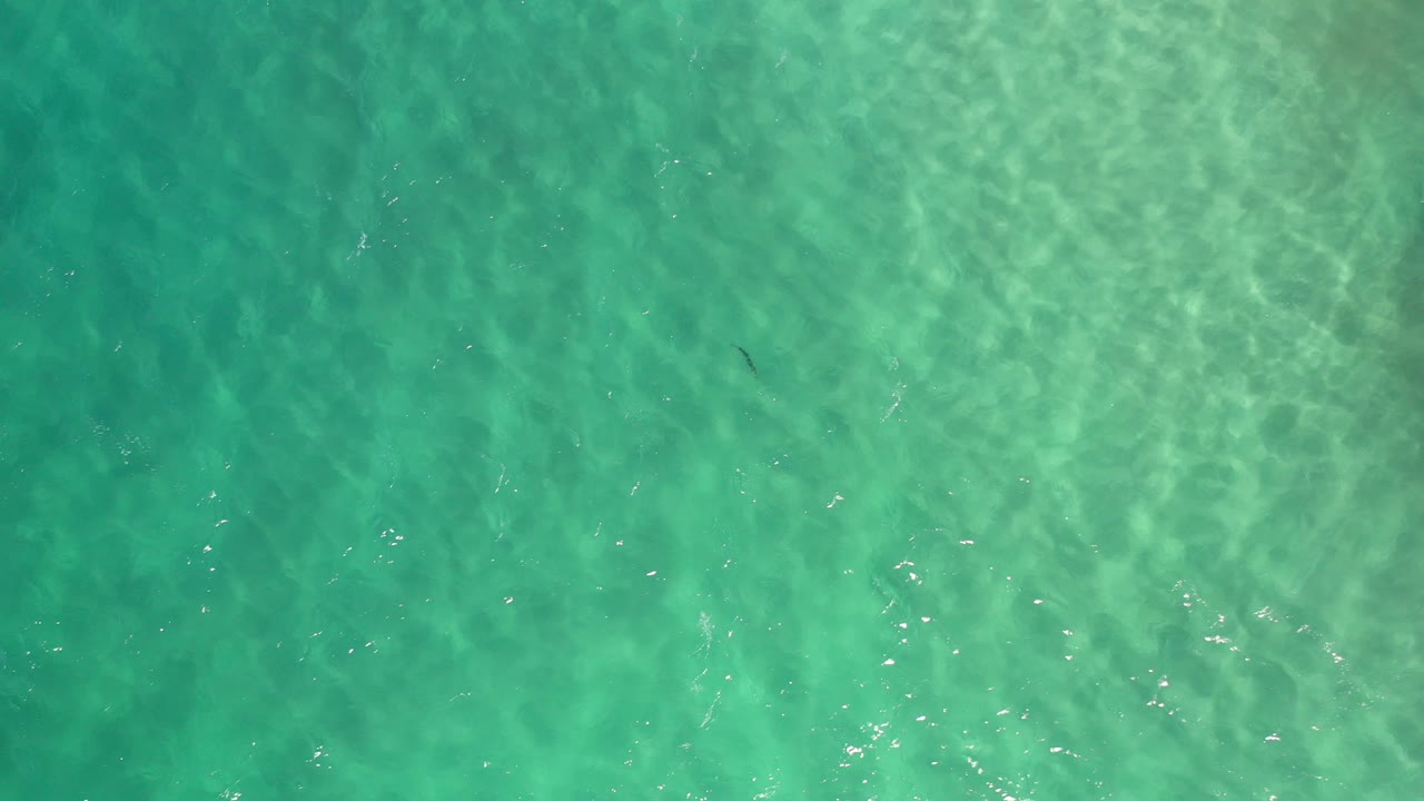 Overhead view of aquamarine water in Los Cabos with soft ripple patterns and no visible people.