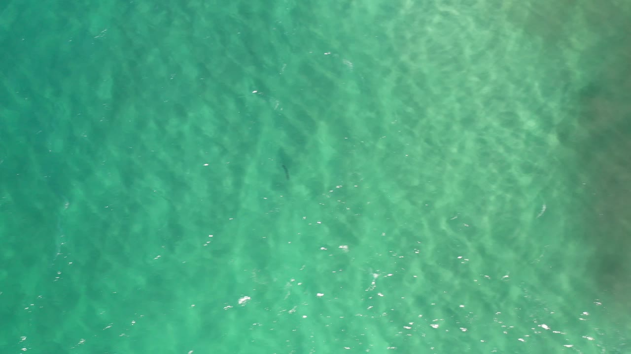 Turquoise water with small bright glints