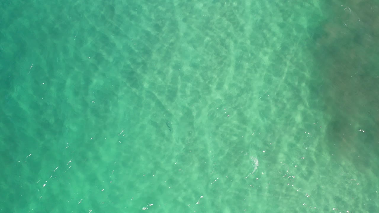 Top-down view of turquoise ocean water in Los Cabos, Mexico, with faint darker patches under the surface and no visible people.