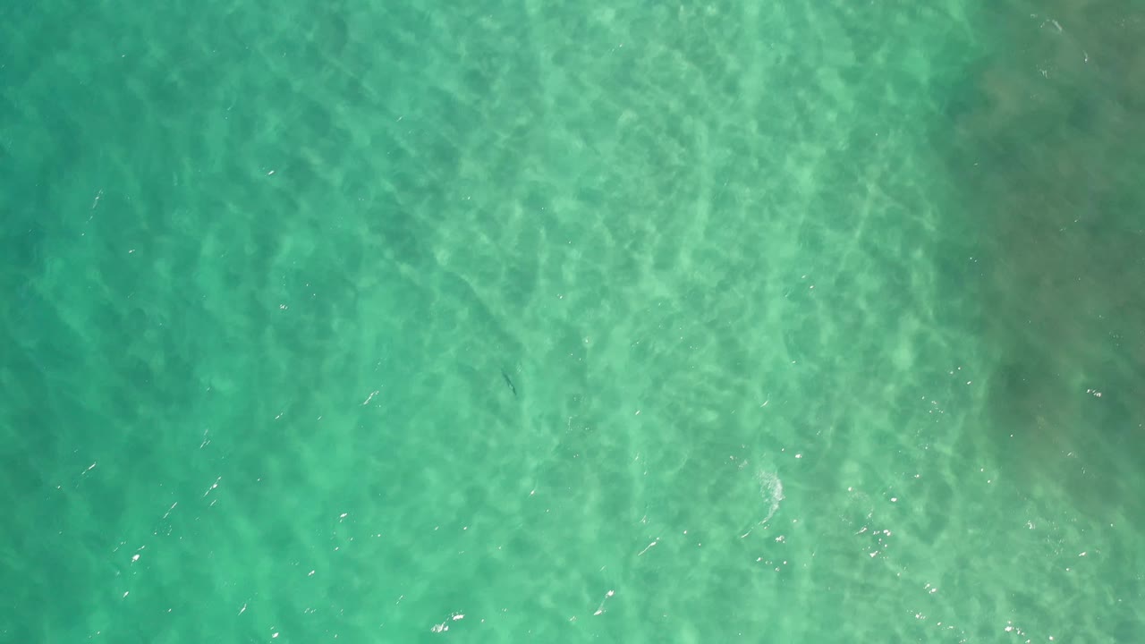 Overhead Los Cabos ocean frame with pale green-blue water, scattered sparkle highlights, and no visible people.