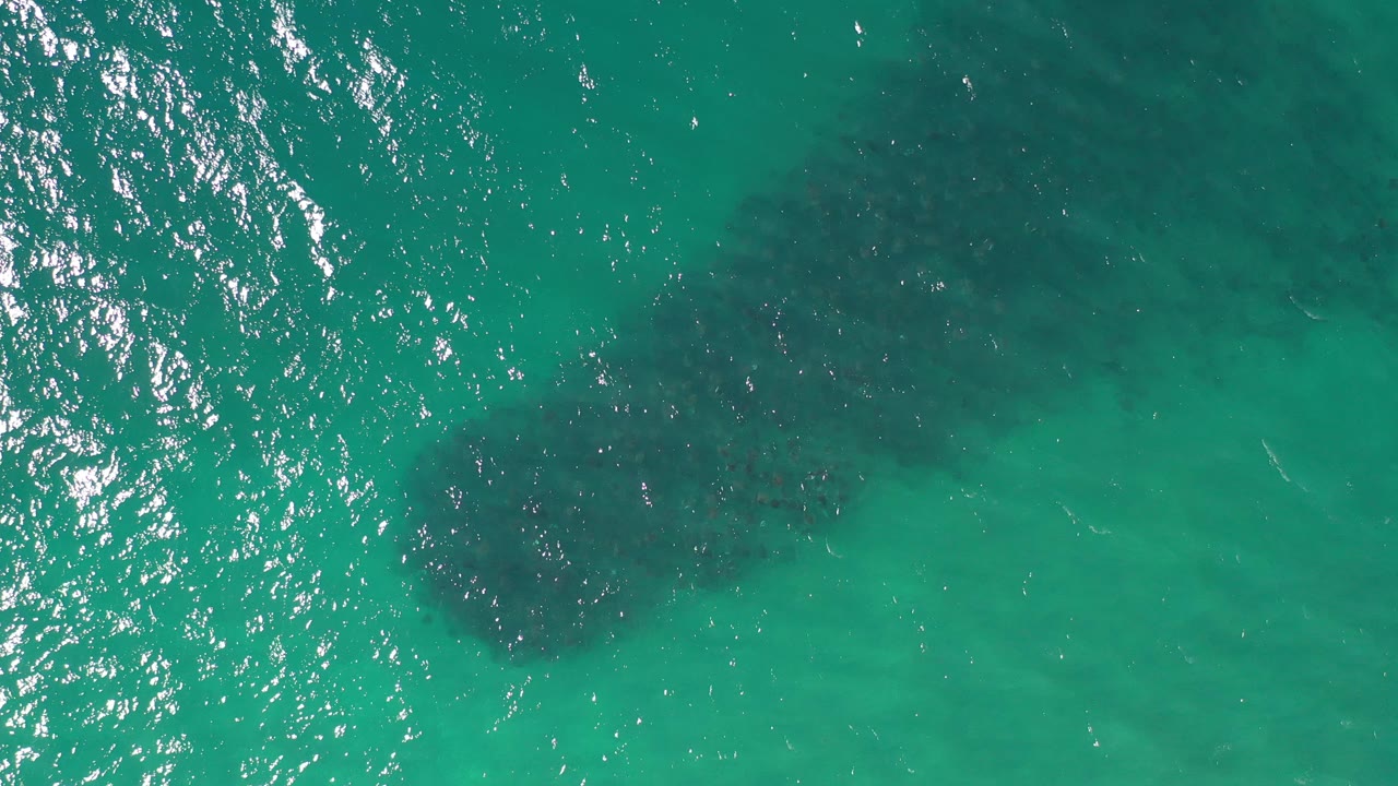 Top-down view of aqua water in Los Cabos, Mexico, with a dark submerged reef patch near the upper center, bright sun sparkle on the left, and no visible people.