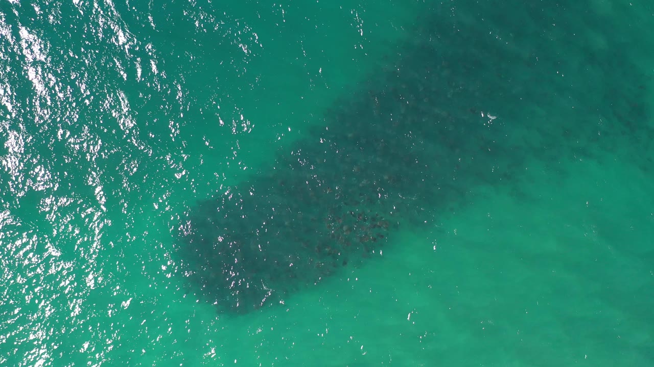 Green blue ocean surface with dark underwater shapes and scattered highlights.